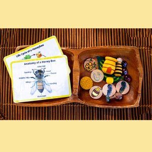 Montessori Toys, Preschool, Homeschool